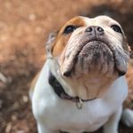 Rob Dupre - @rob.dupre.1 - Instagram