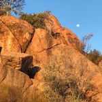 Rob Dyer - @robdyer666 - Instagram