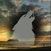 Rob Eadie - @rob.eadie6 - TikTok