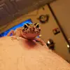 Robbie Engelhardt - @robbieengelhardt - TikTok