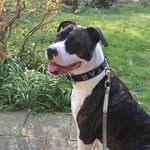 Rob Faber - @faber1418 - Instagram