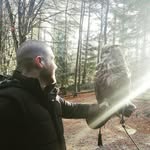 Rob Farrell - @rjf1604 - Instagram