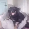 Rob Farrell - @rob.farrell6 - TikTok