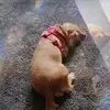 Robyn Farrington - @robyn.farrington - TikTok
