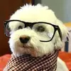 robfernandez925 - @robfernandez925 - TikTok