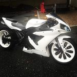 Rob Ferreira - @robinho.508 - Instagram