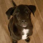 Rob Floyd - @rob.floyd.3194 - Instagram