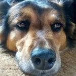 Rob Fontaine - @rob.na.18 - Instagram