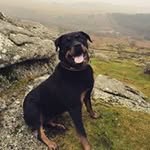 Rob Fox - @robfox7527 - Instagram