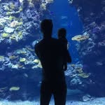 Rob Gardiner - @robgardiner3 - Instagram