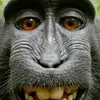 Robert Gates - @robert.gates94 - TikTok