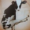 robert.gerber - @robert.gerber - TikTok