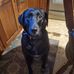 Rob Gillespie - Facebook