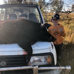 Rob Gillies - @gillies_rob - Instagram