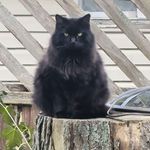 Rob Goff - @rob.goff.5437 - Instagram