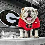 Rob Gordon - @dawgs1980nc - Instagram