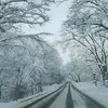 robgordon1158 - @robgordon1158 - TikTok