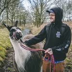 Rob Grey🦖 - @rob_grey_ - Instagram