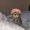rob grey - @rob.grey.arana - TikTok