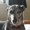 robgriffith69 - @robgriffith69 - TikTok