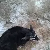 roberthaller741 - @roberthaller741 - TikTok
