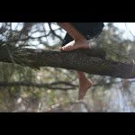Rob Harding - @robbieharding - Instagram