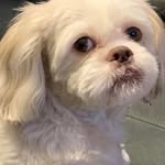 Rob Harding - @rob.harding.94402 - Instagram