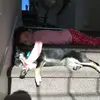 harlow - @harlow.roberson - TikTok