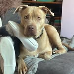 @harlowrobbo - Instagram