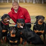 Robert Harlow - @rob_and_therotties - Instagram