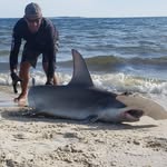 Rob Harmon - @rharmon1382 - Instagram