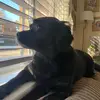 Rob Hay - @rob.hay92 - TikTok