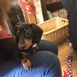 Rob Herrick - @robherrick22 - Instagram