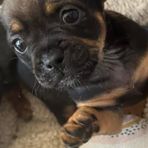 Robert Hicks - Facebook