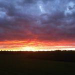 Rob Hickson - @robertjhickson - Instagram