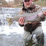 Rob Hilliard - @hilliardrob - Instagram