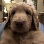 Robb Hirschberg - Facebook