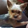 Janice Houser Roberts - @janice.houser.rob - TikTok