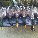 Robert Hubbard - @buckhunter30_06 - Instagram