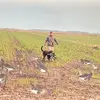 robjeter - @robjeter - TikTok