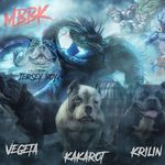 Rob Johnson - @mbbk_nj_pups - Instagram