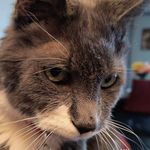 Robert Jon Mills - @rob_jon_mills - Instagram