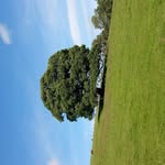rob keegan - @keegan3441 - Instagram
