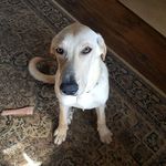 Rob Kessler - @robkessler99 - Instagram