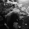 robertkittle596 - @robertkittle596 - TikTok