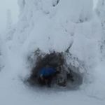 Rob Knapp - @knapp_rob - Instagram