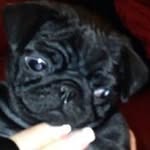 Rob Laing - @roblaing1952 - Instagram