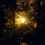 Robert Lajeunesse - @lajeunesserobert - Instagram