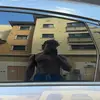 Rob Lamb - @robertlamb0813 - TikTok