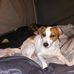 Rob Lamb - Facebook